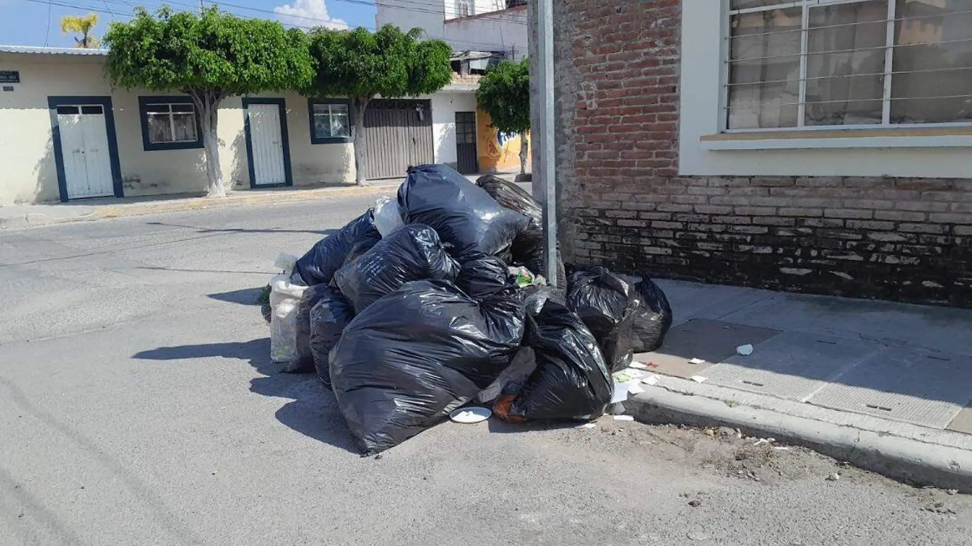 mascotas sin vida en tehuacan